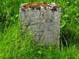 image of grave number 143004